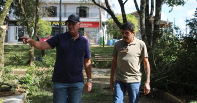 Prefeitura realiza mutirão de limpeza no Arboreto Municipal e avança na revitalização do espaço