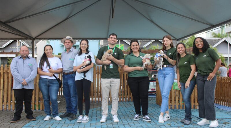 Prefeitura Municipal e Klabin realizam feira de adoção e garantem novos lares para cães em Otacílio Costa